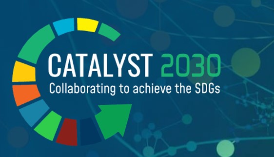 Catalyst 2030 globales Netzwerk von social entrepreneurs