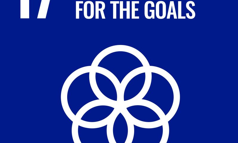 Partnershops for goals - SDG 17