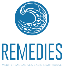 Logo des EU Projekts REMEDIES