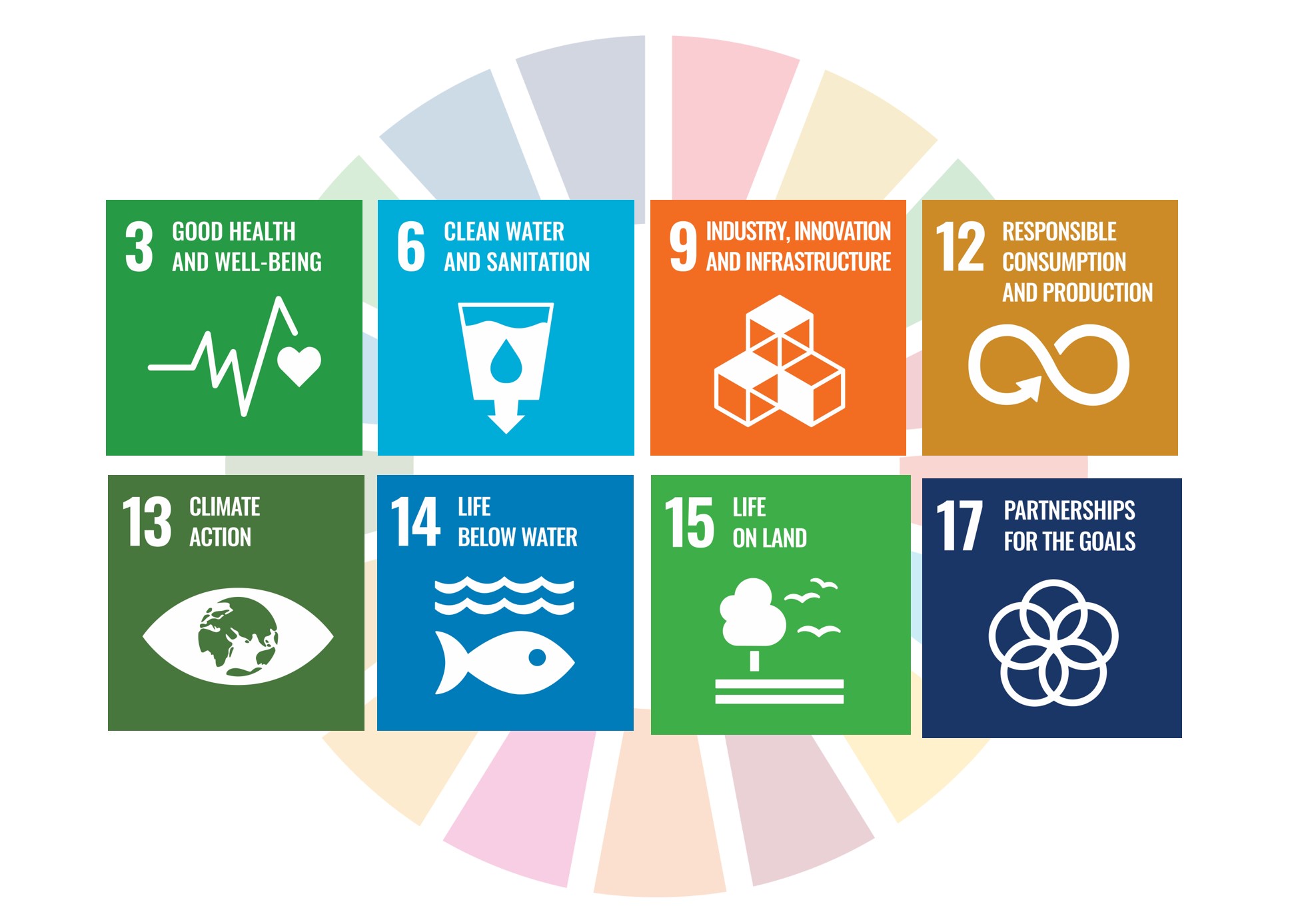 SDG contributions with wheel in the background