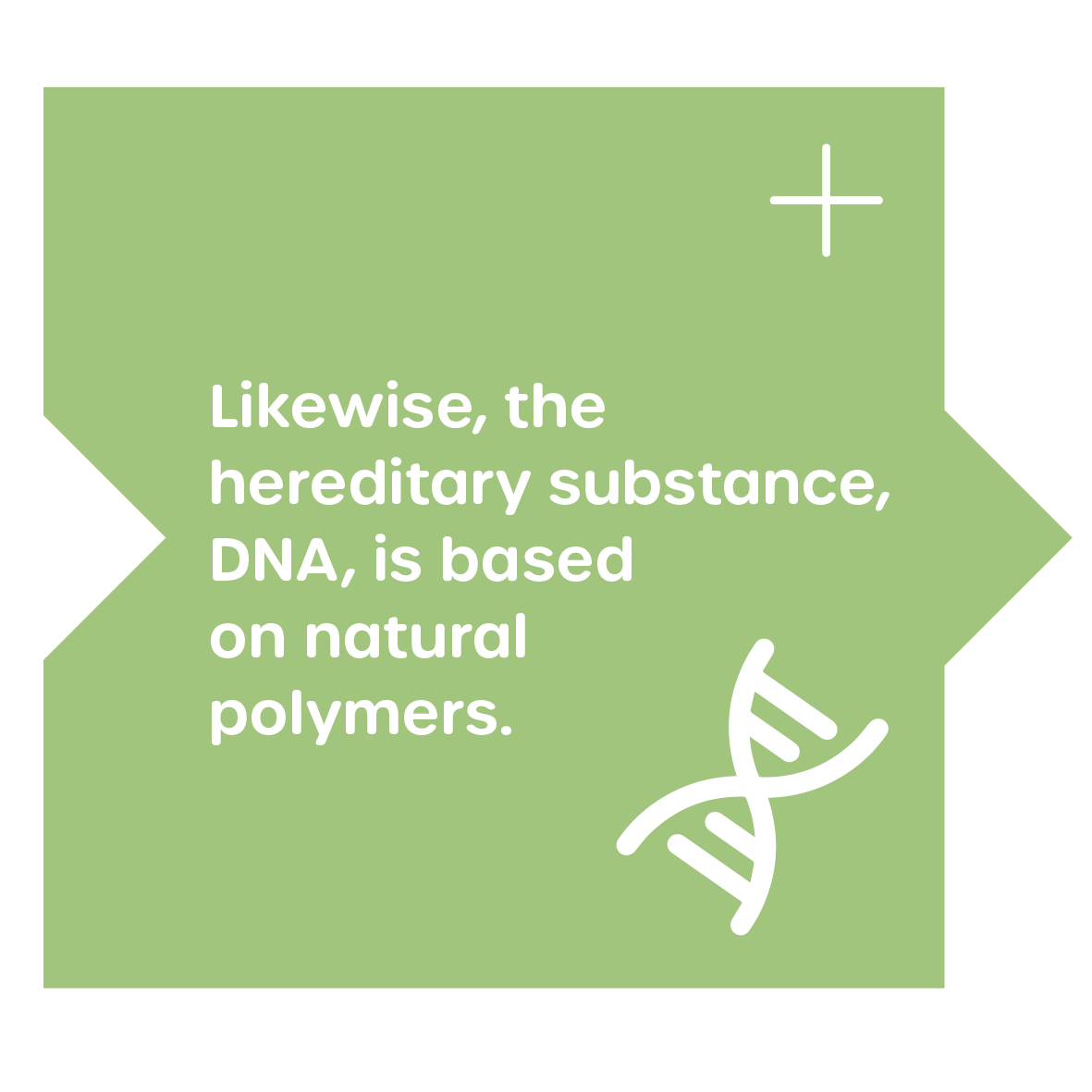 DNA = Biopolymer