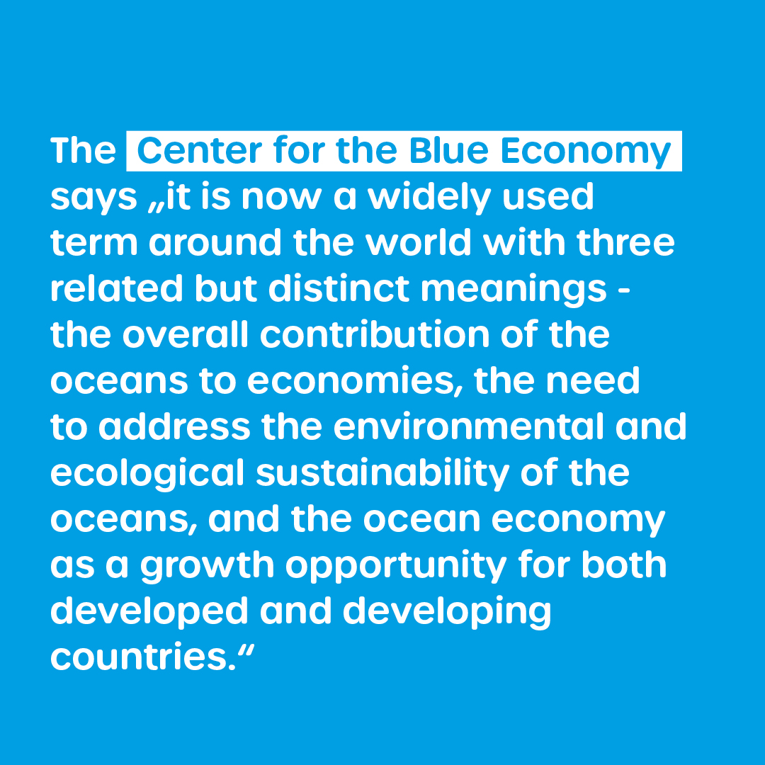Center of Blue Economy says about Blue Economy