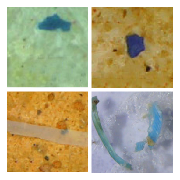 Microplastics in our food