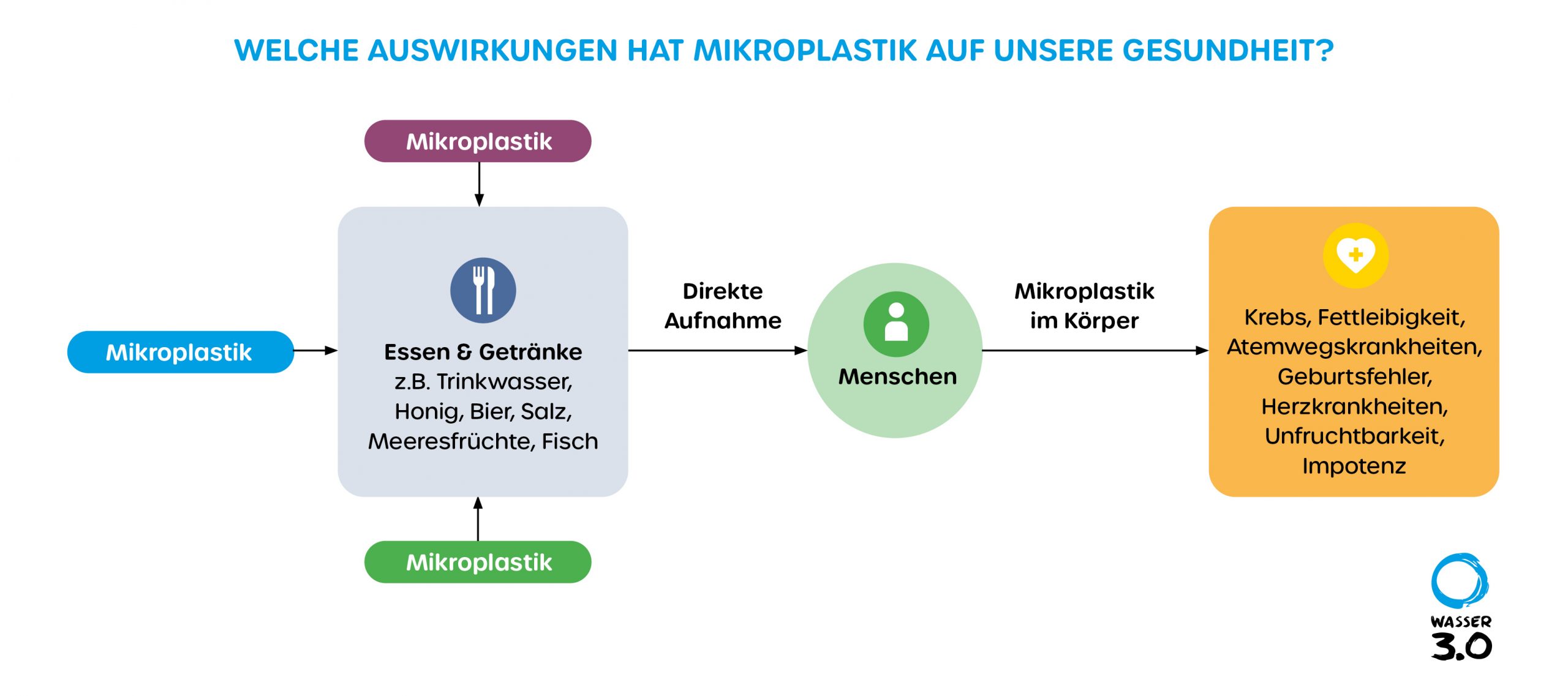Beispiel für die Auswirkungen auf die menschliche Gesundheit durch die Aufnahme von Mikroplastik © Wasser 3.0.