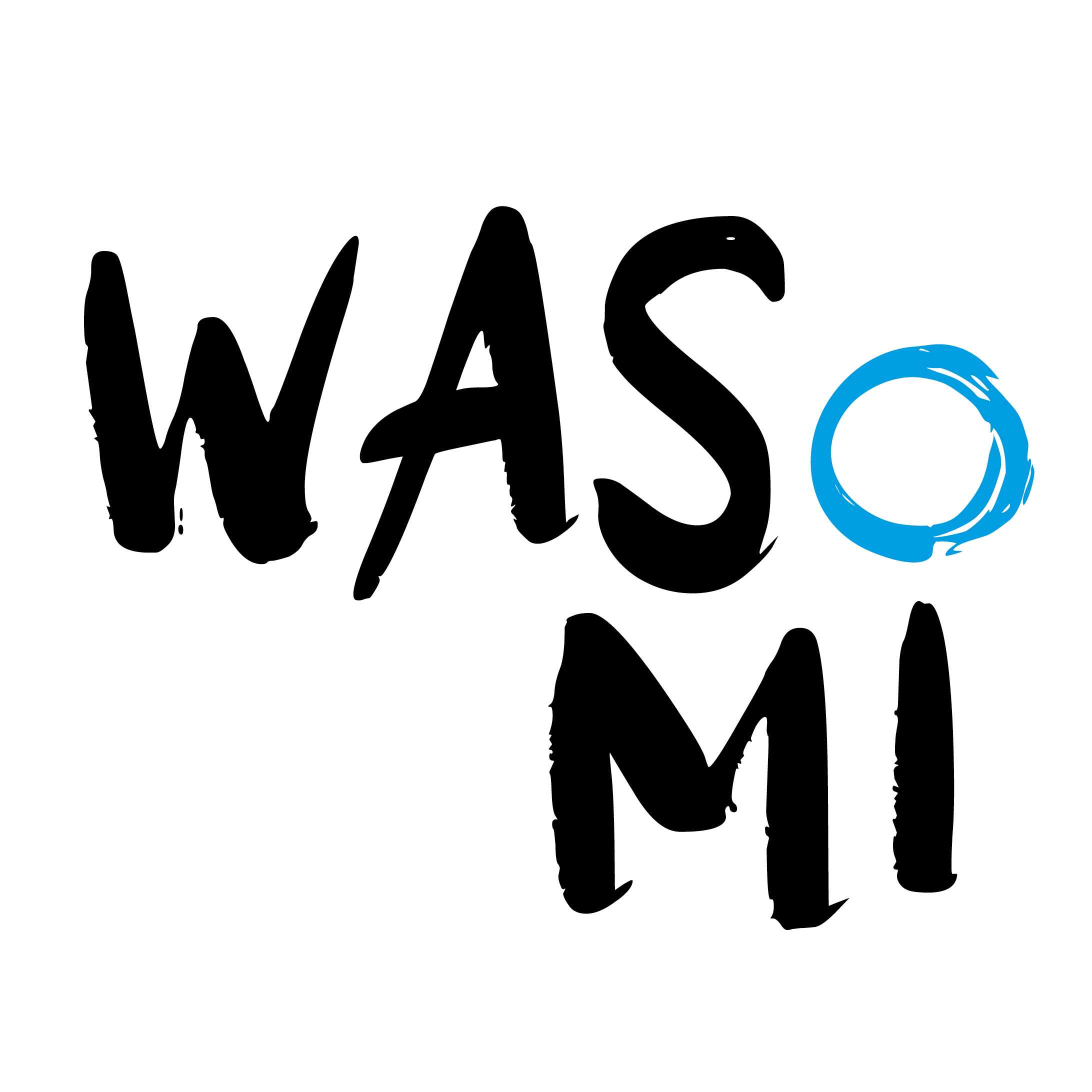 Digital-real education space WASoMI