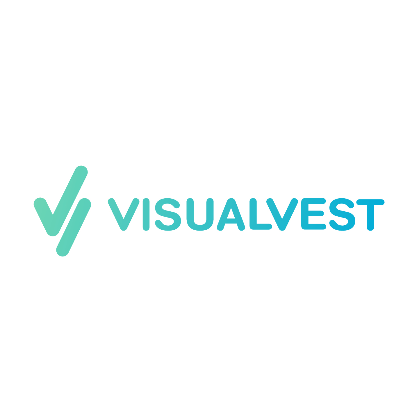 VisualVest