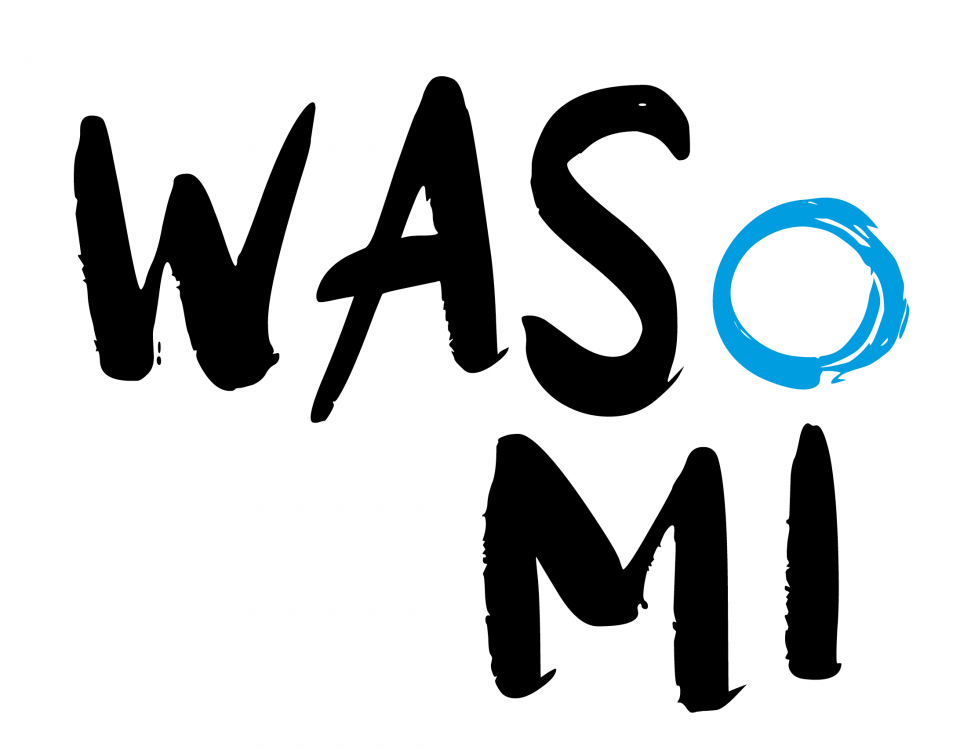 WASoMi: Digital-realer Bildungsraum
