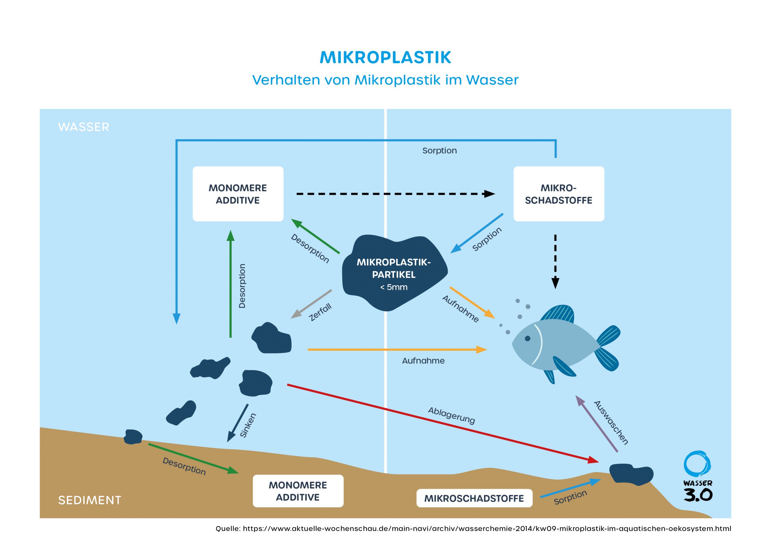 Verhalten von Mikroplastik im Wasser