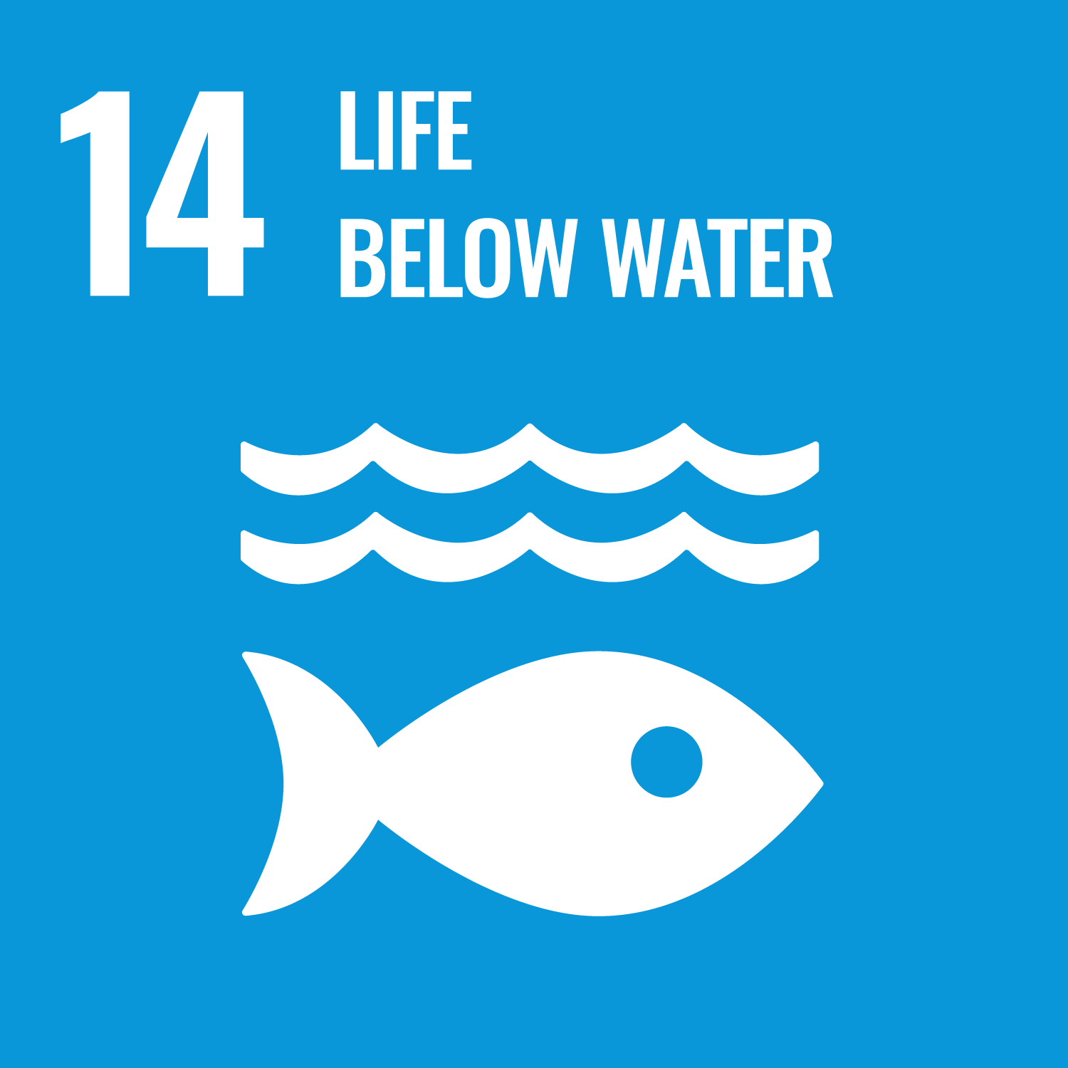Sustainable Development Goal (SDG) number 14, depicted with a light blue square featuring a white symbol of fish and waves, the number '14,' and the description 'life below water' in white letters