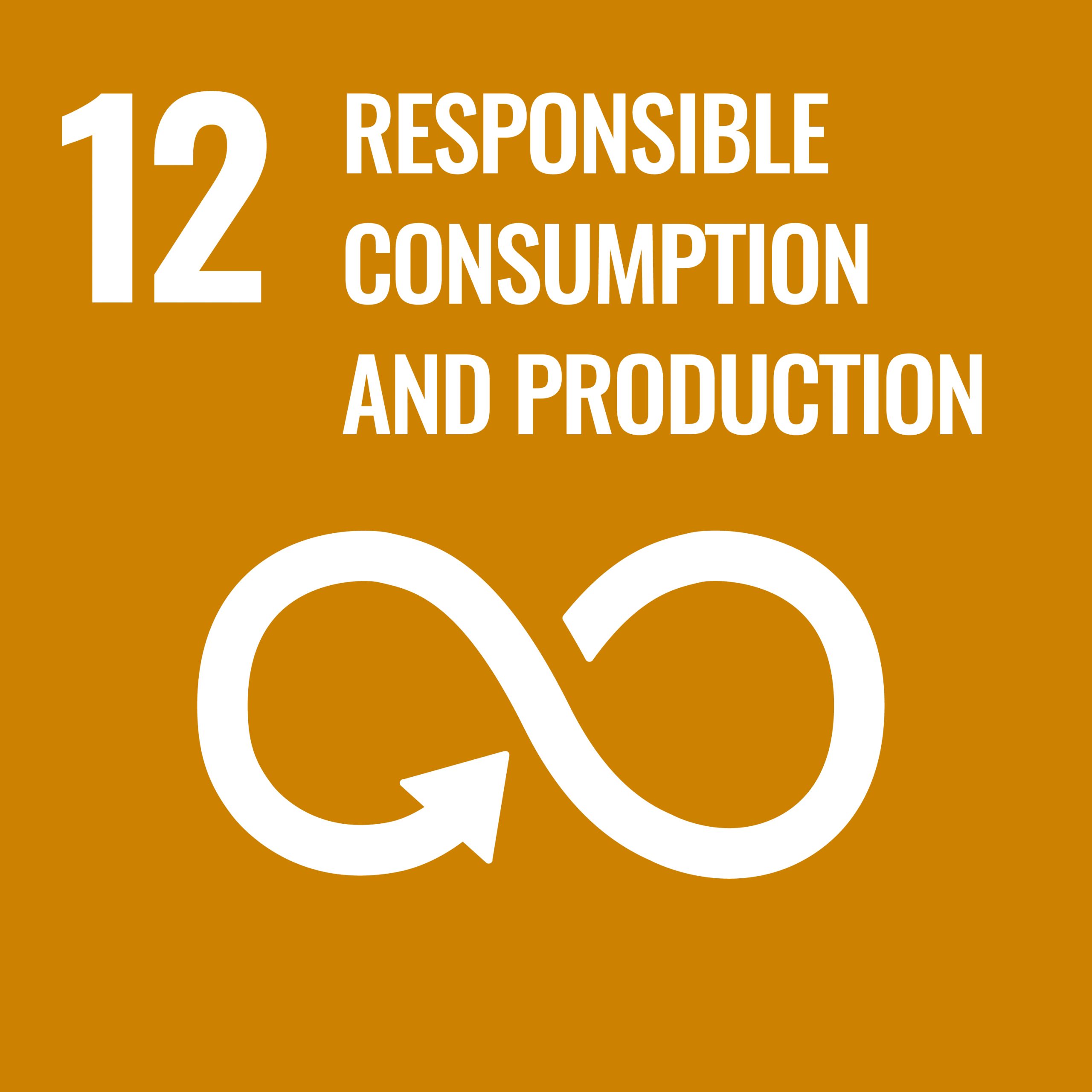 Rsponsible consumption and production - SDG 12