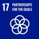 Partnershops for goals - SDG 17