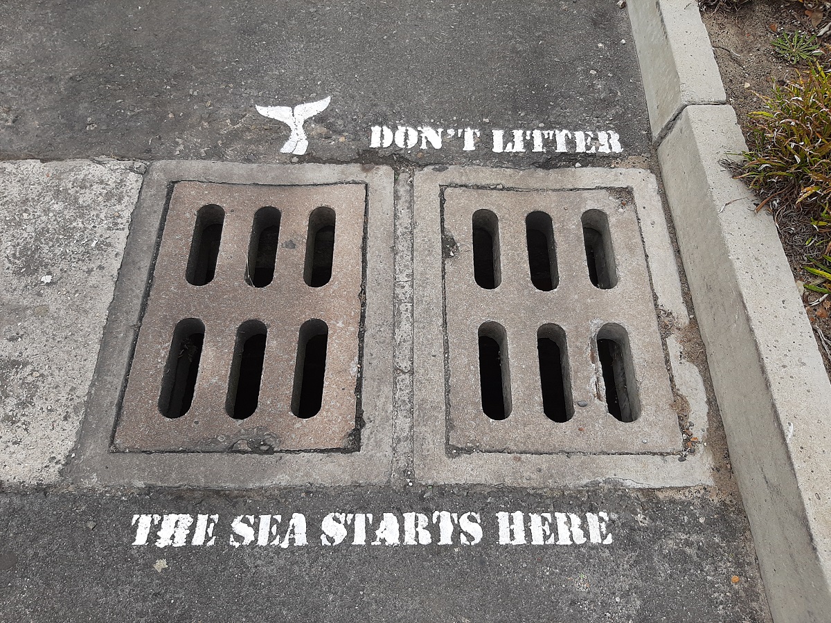 The Sea starts here. Copyright: Dyer Island Conservation Trust/Marine Dynamics
