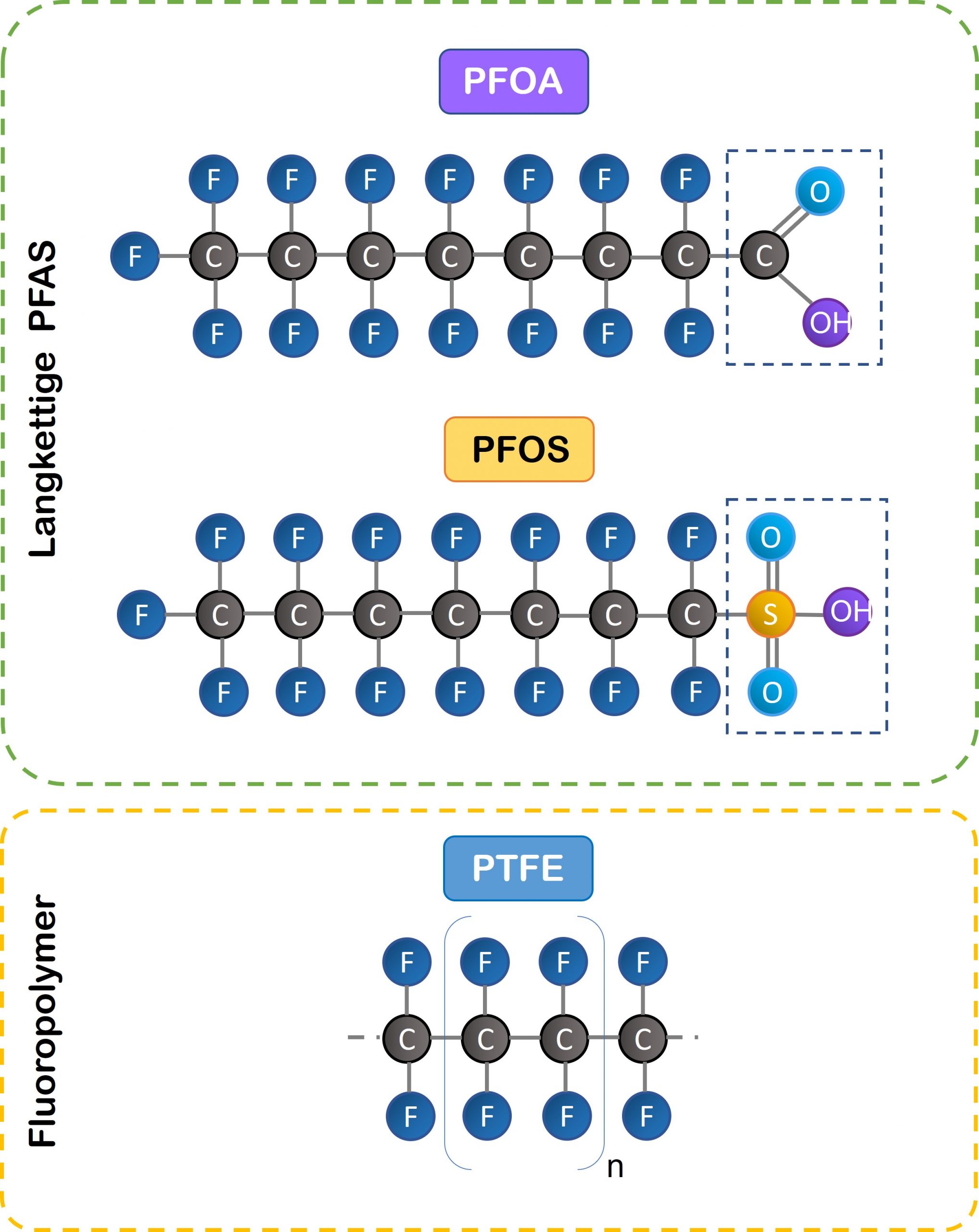 Chemische Strukturen der beiden häufigsten PFAS und des wichtigsten Fluorpolymers, PTFE. Angepasst von Panieri et al. 2022. 