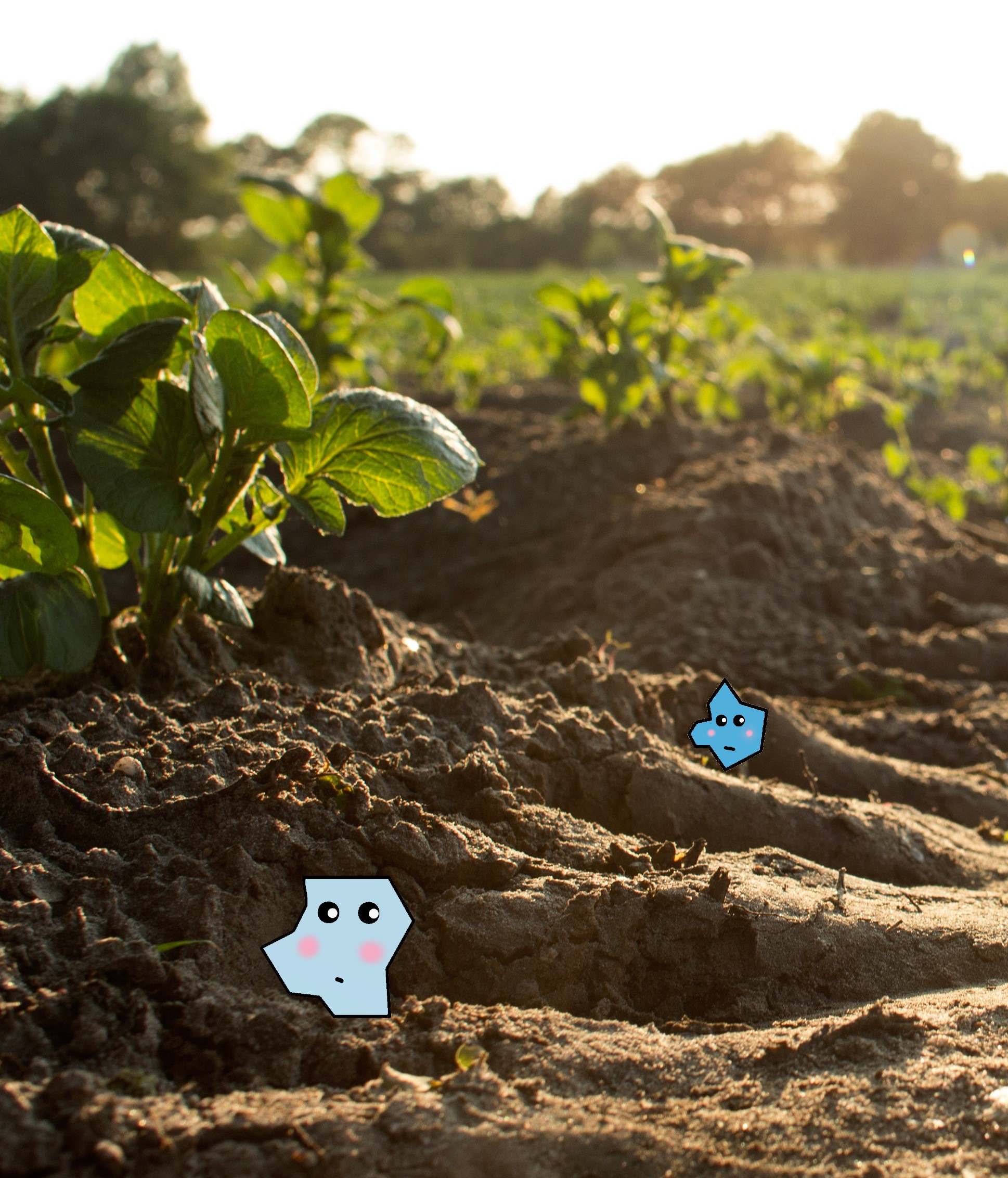 Maxi und Charlie - Mikroplastikpartikel im Boden - microplastics in our soil
