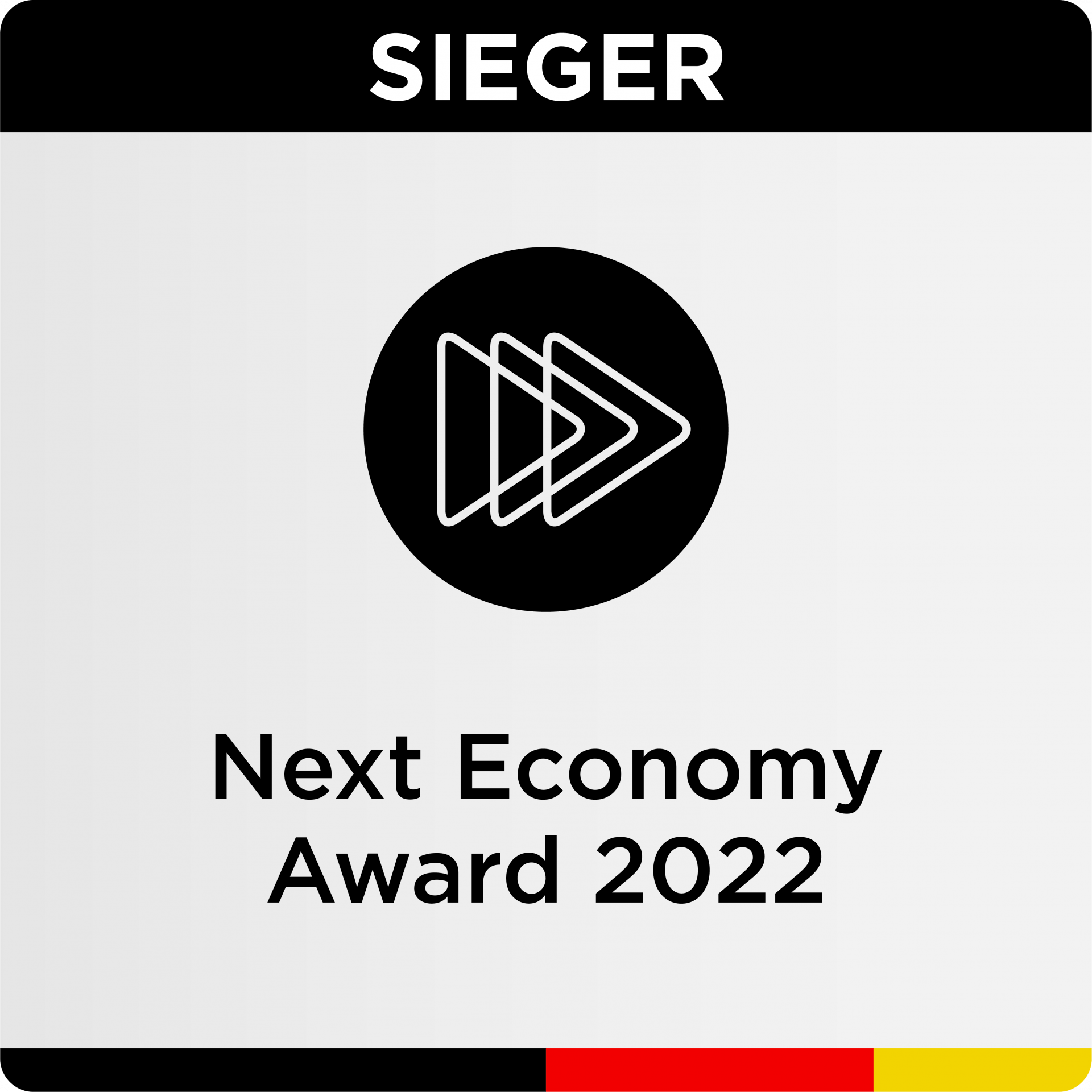 Next Economy Award Siegel DE