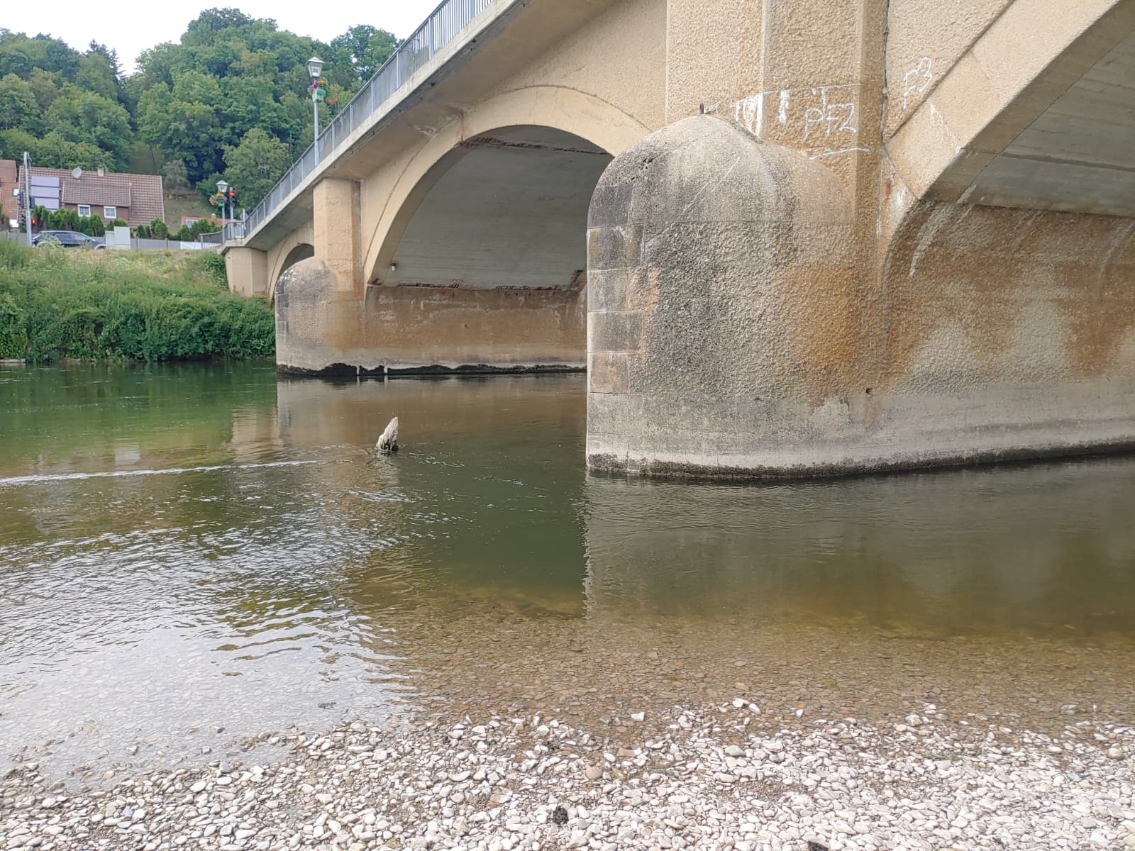 Sampling at the Neckar Bridge in Neckartenzlingen