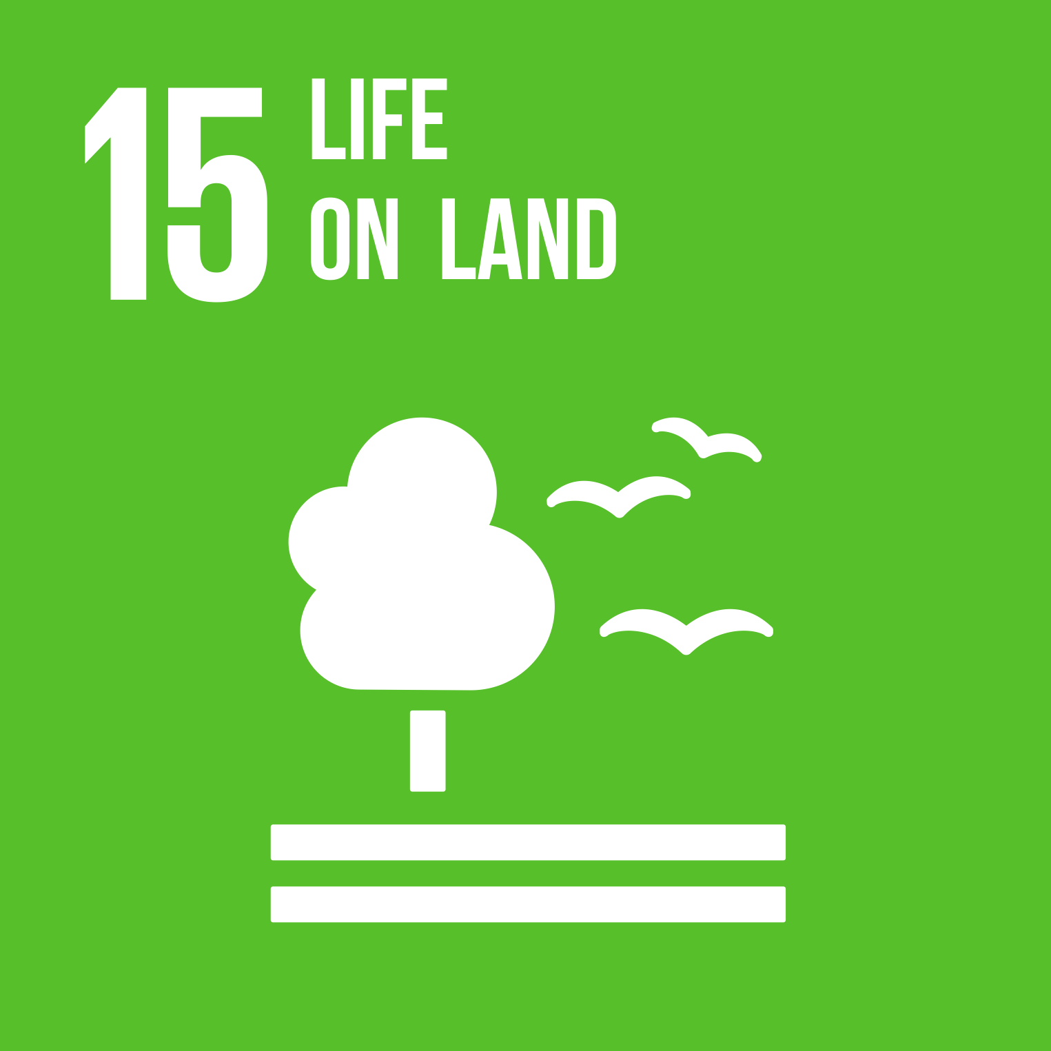 SDG 15 Life on land
