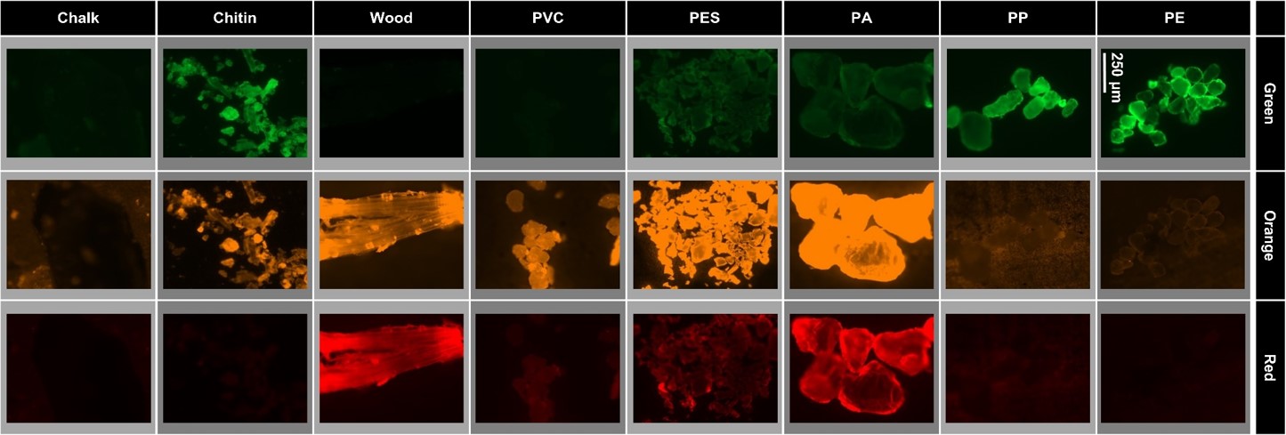 Detection of microplastic particles with fluorescence dyes