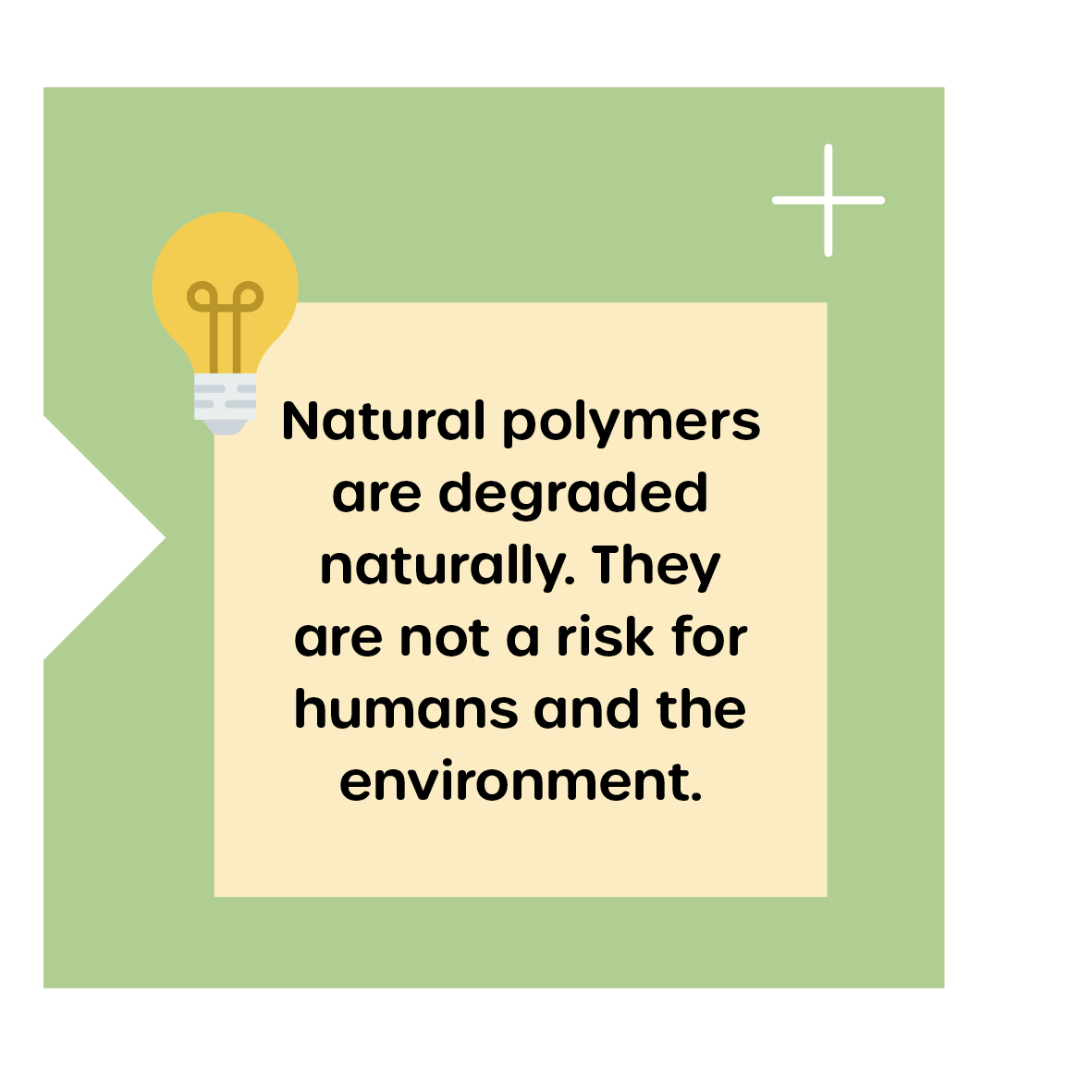 Degradation of Biopolymers
