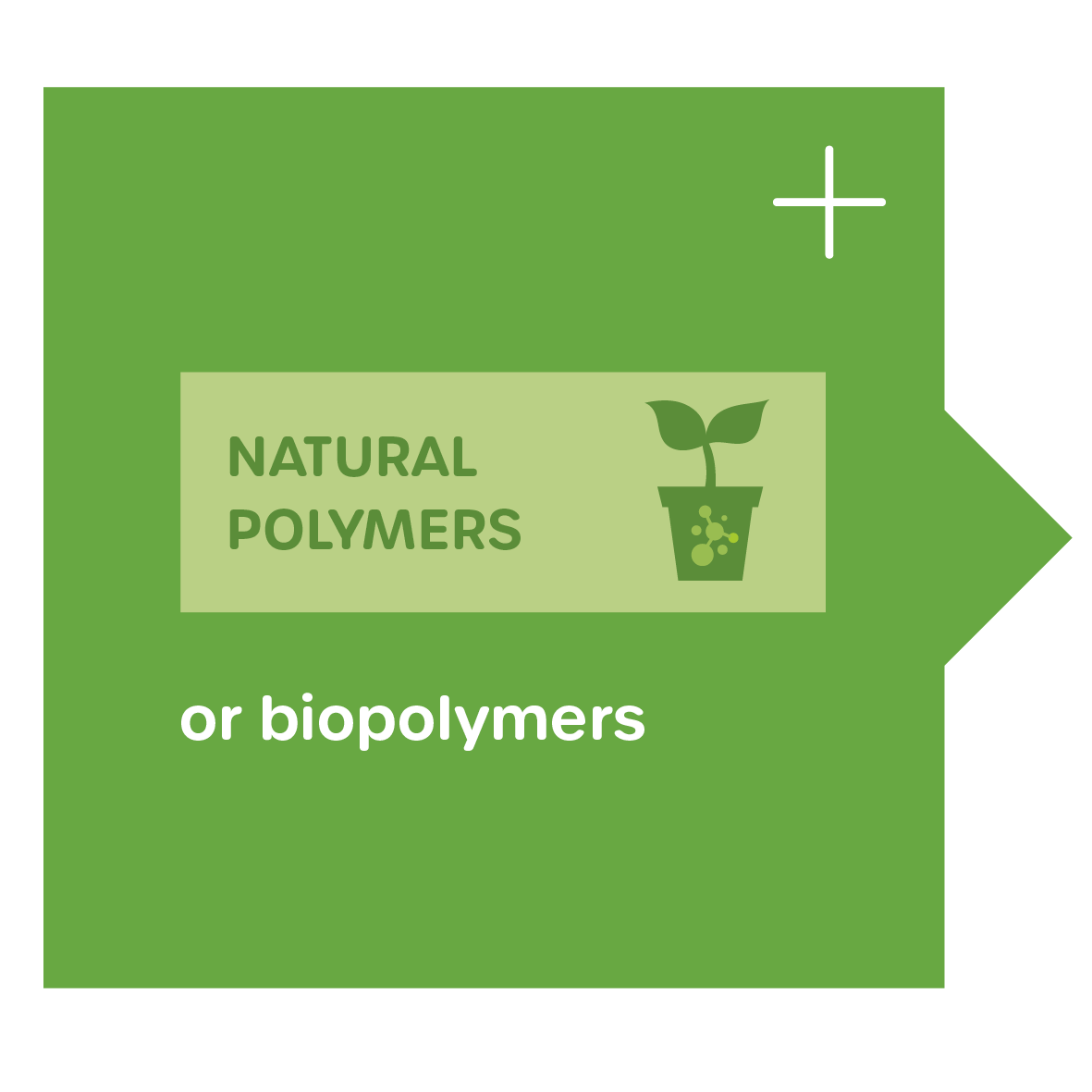 Biopolymers - natural polymers