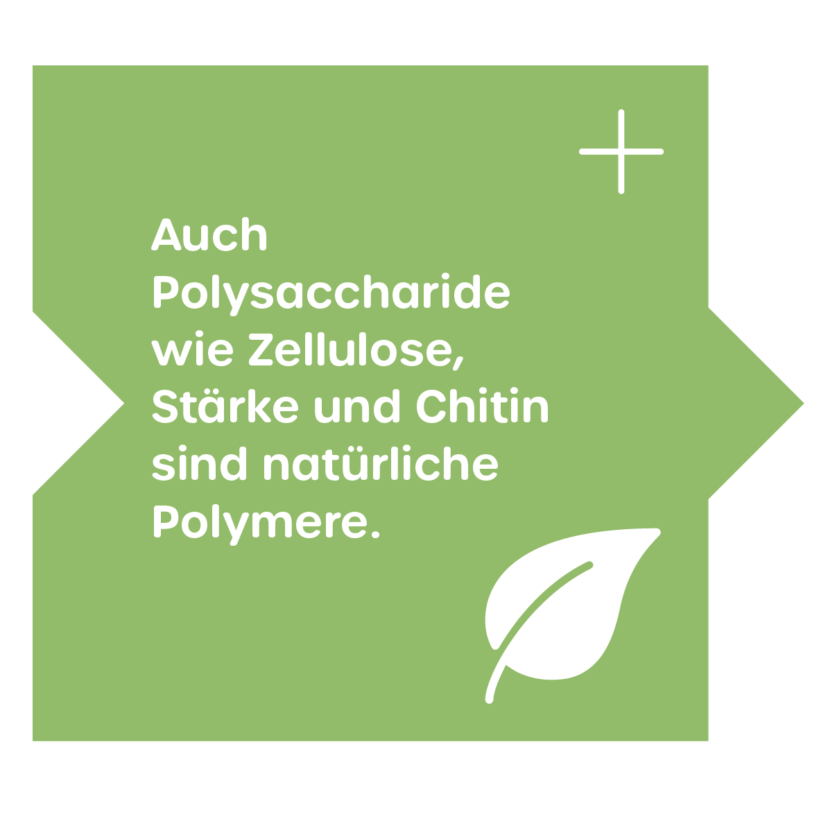 Natürliche Polymere: Polysaccharide