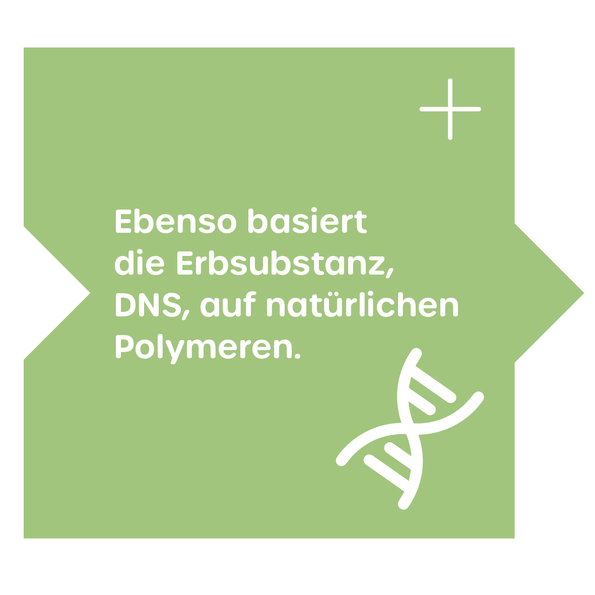 Erbsubstanz- natürliche Polymere - DNS