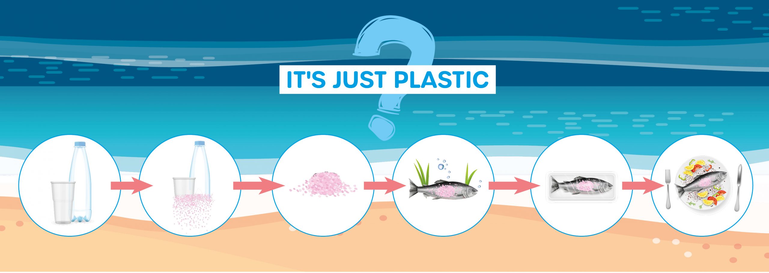 Teaser Microplastics and human health
