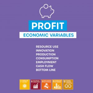 Sustainable Development Goals - PROFIT