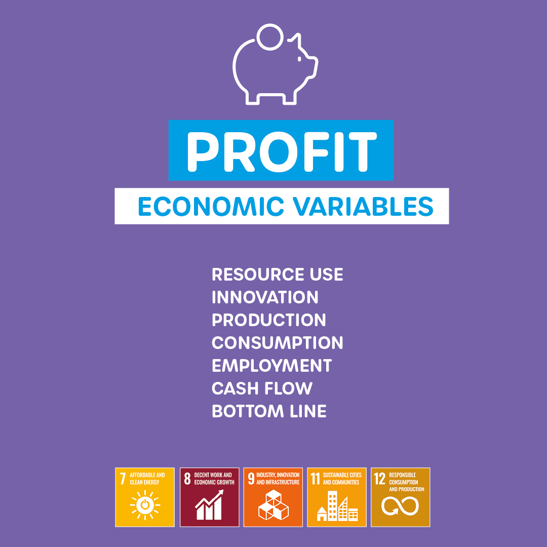 Sustainable Development Goals - PROFIT