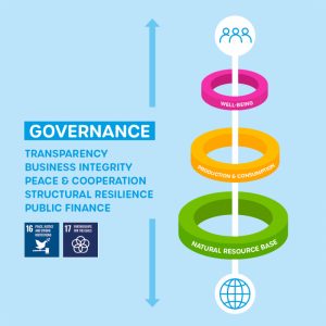 Sustainable Development Goals - GOVERNANCE