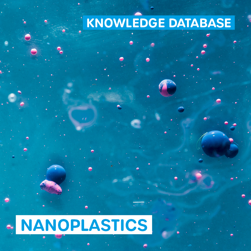 Nanoplastics
