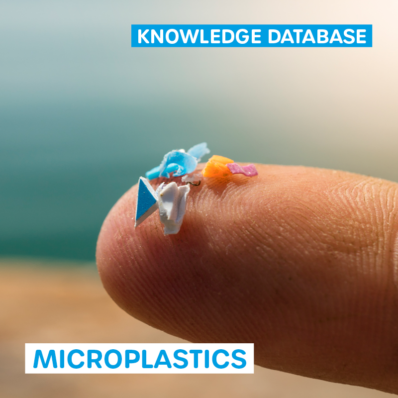 Knowledge Database - Microplastics