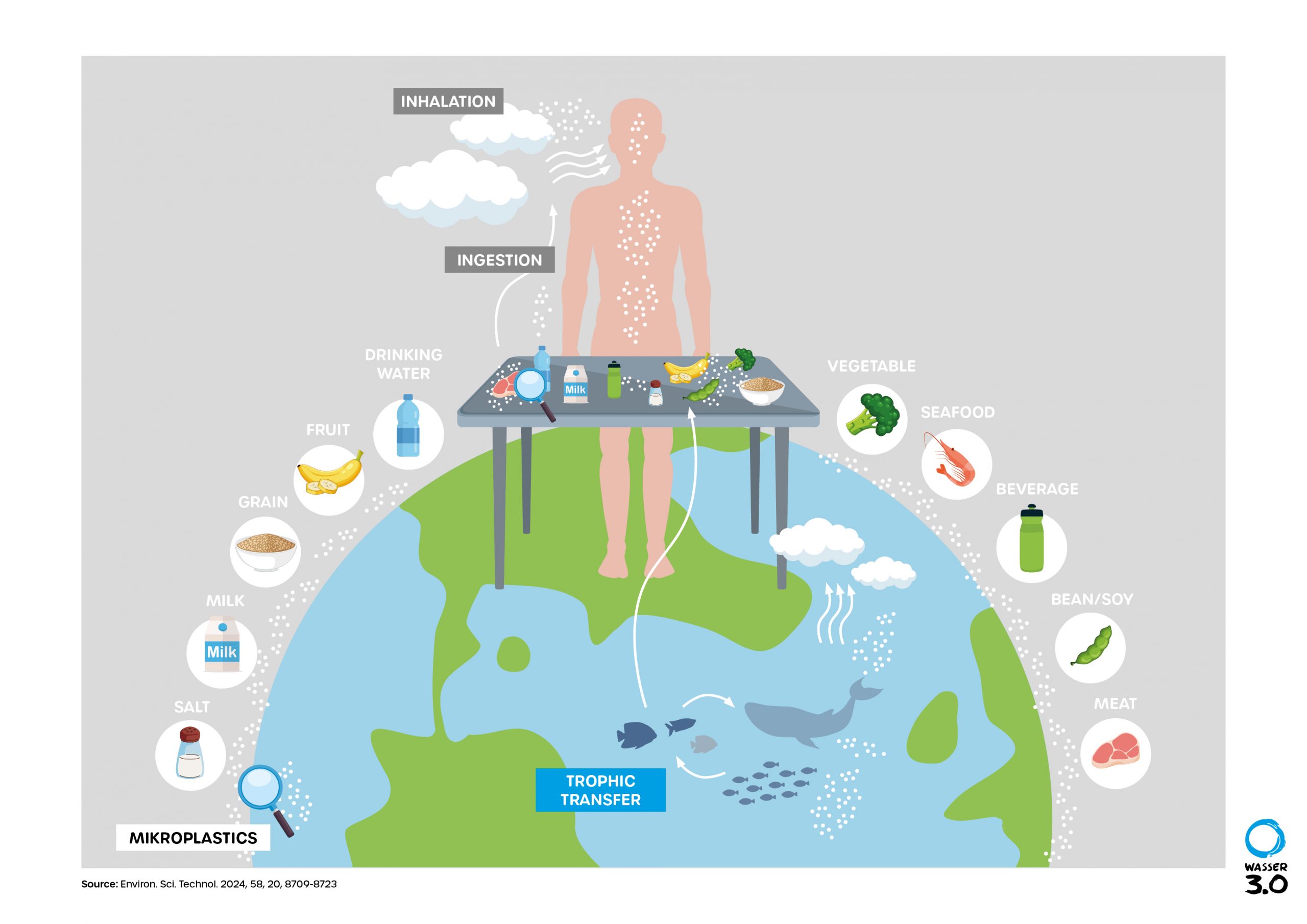 Microplastics in our Food