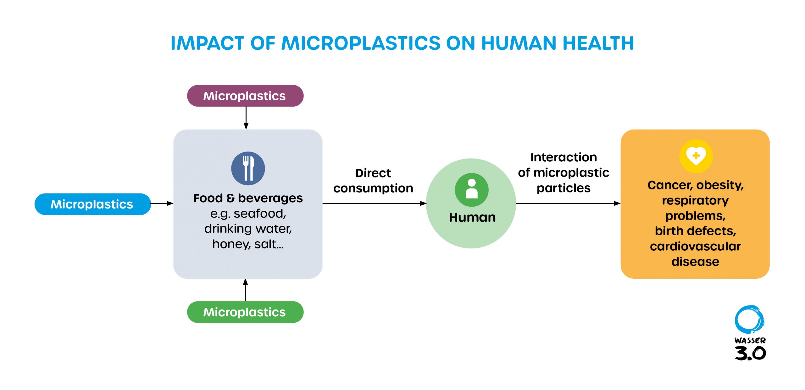 Example of human health impacts due to microplastic ingestion © Wasser  3.0. 