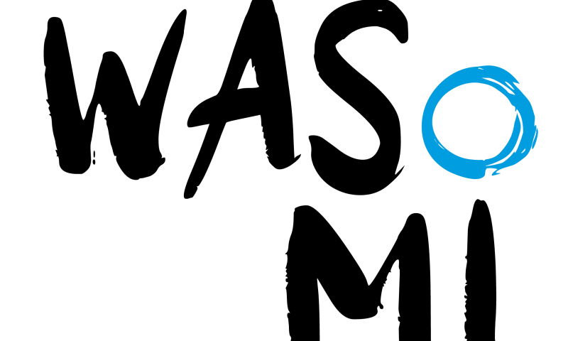 WASoMi: Digital-realer Bildungsraum