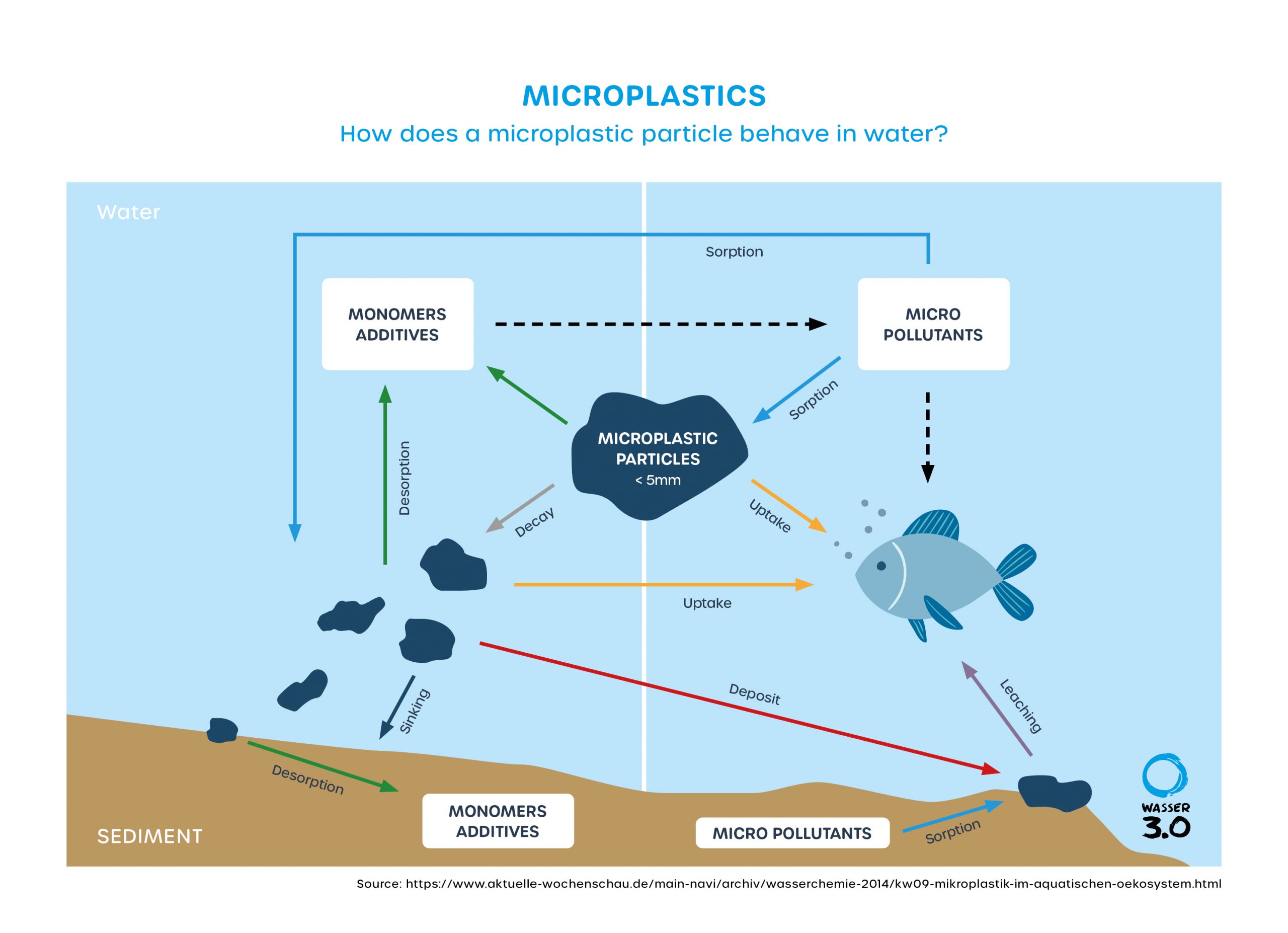 Behaviour of microplastics in water