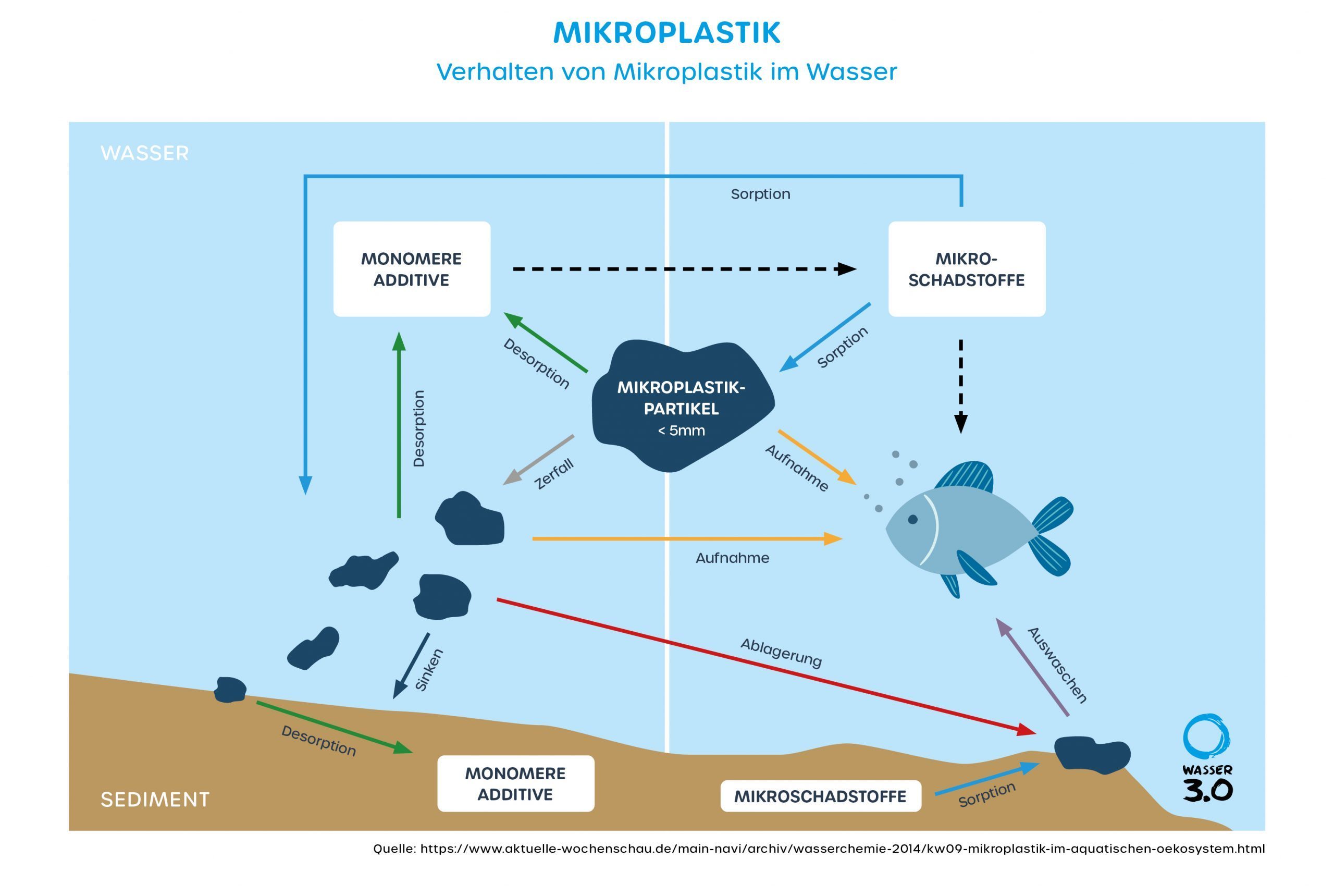 Verhalten von Mikroplastik in der Umwelt