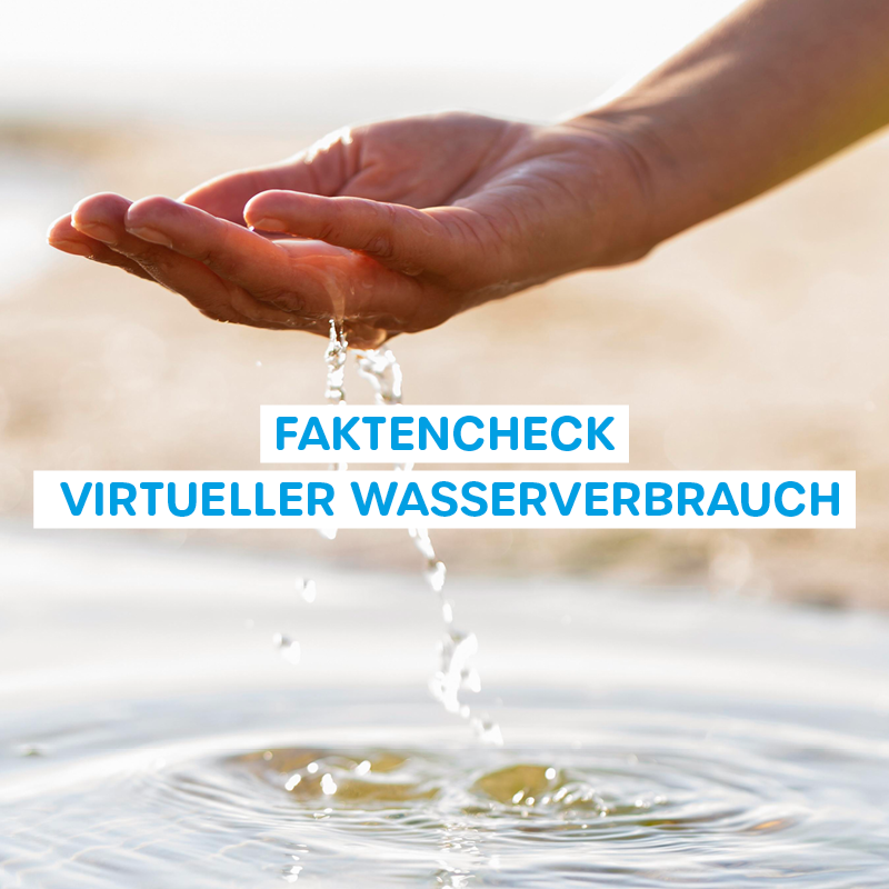 Faktencheck Virtueller Wasserverbrauch