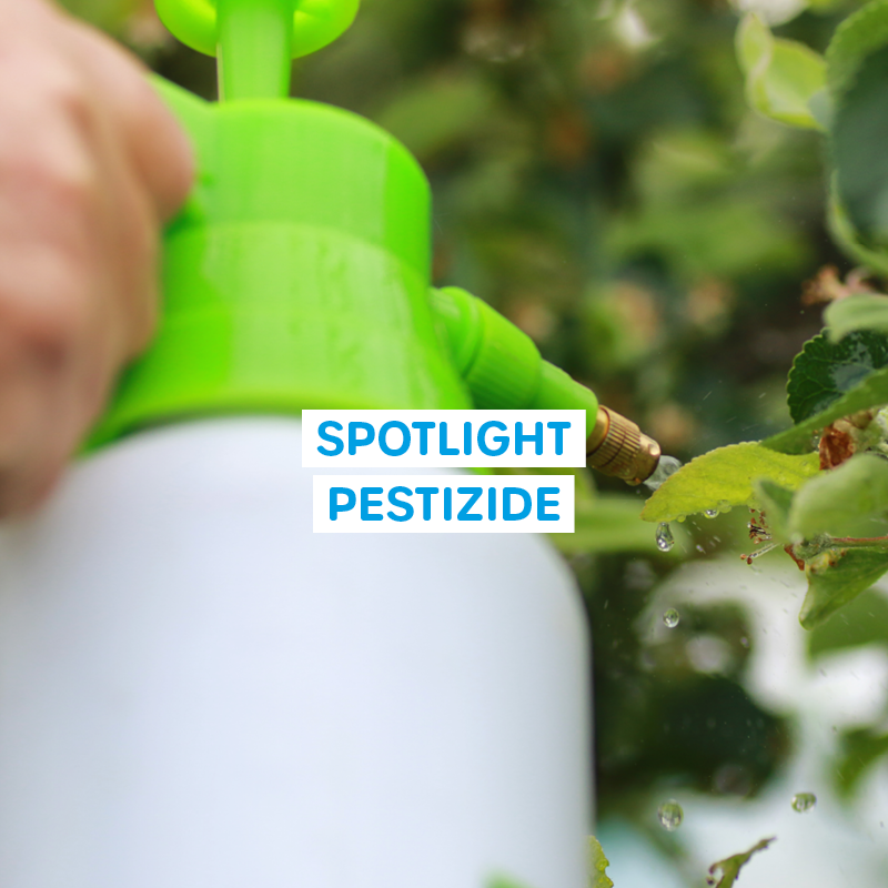 Spotlight Pestizide