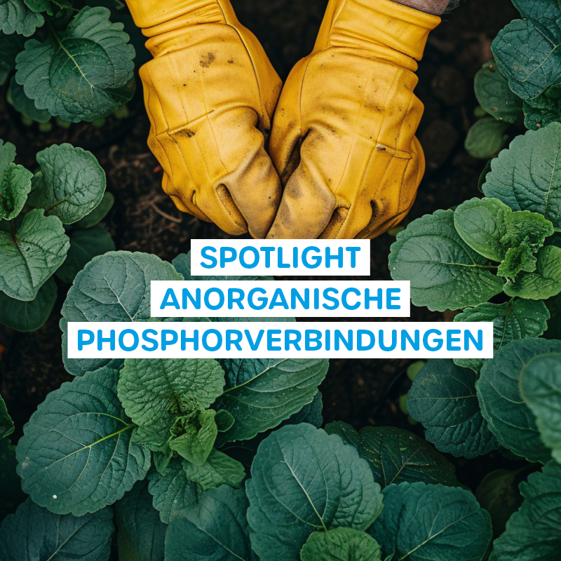 Spotlight Anorganische Phosphorverbindungen