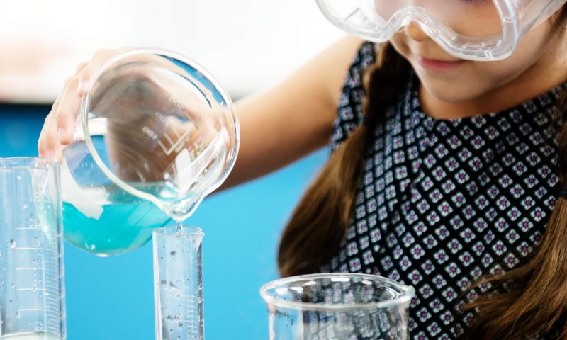 Forschung. Verstehen. Lernen. Projekt Freiräume goes live mit Wassertage.