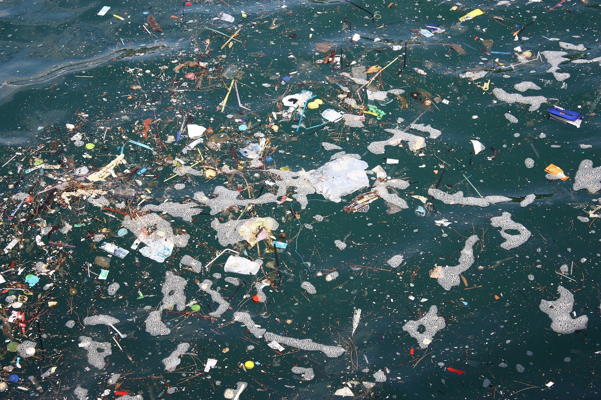 Startseite Müll im Meer / Mikroplastik im Wasser